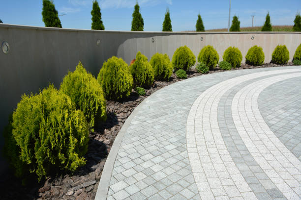 Best Best Driveway Pavers  in Morris, IL